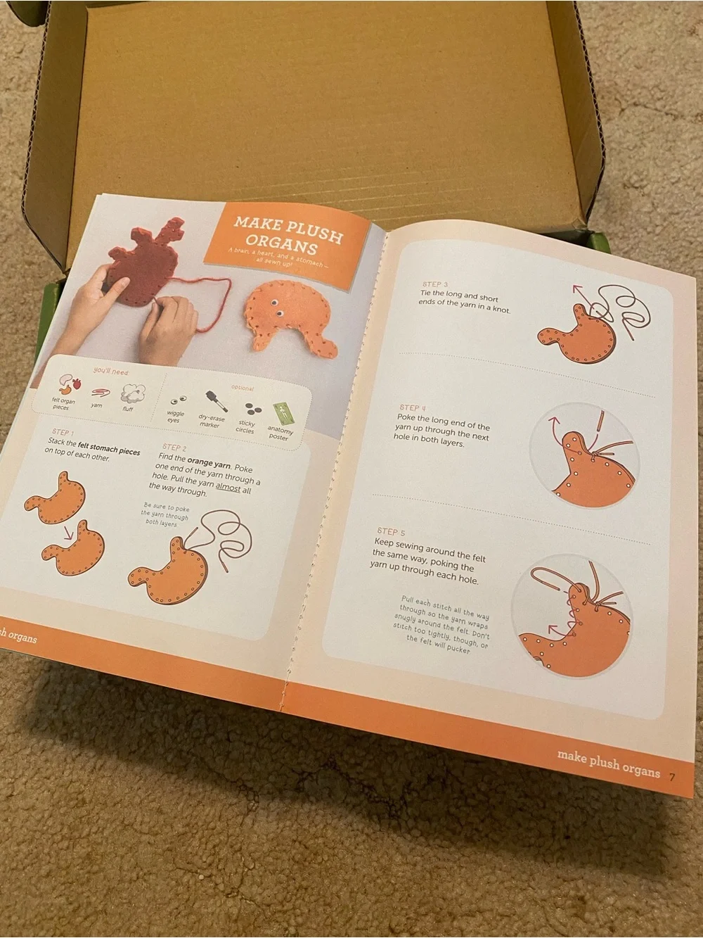 NEW - Kiwi Crate My Body & Me Educational Kit